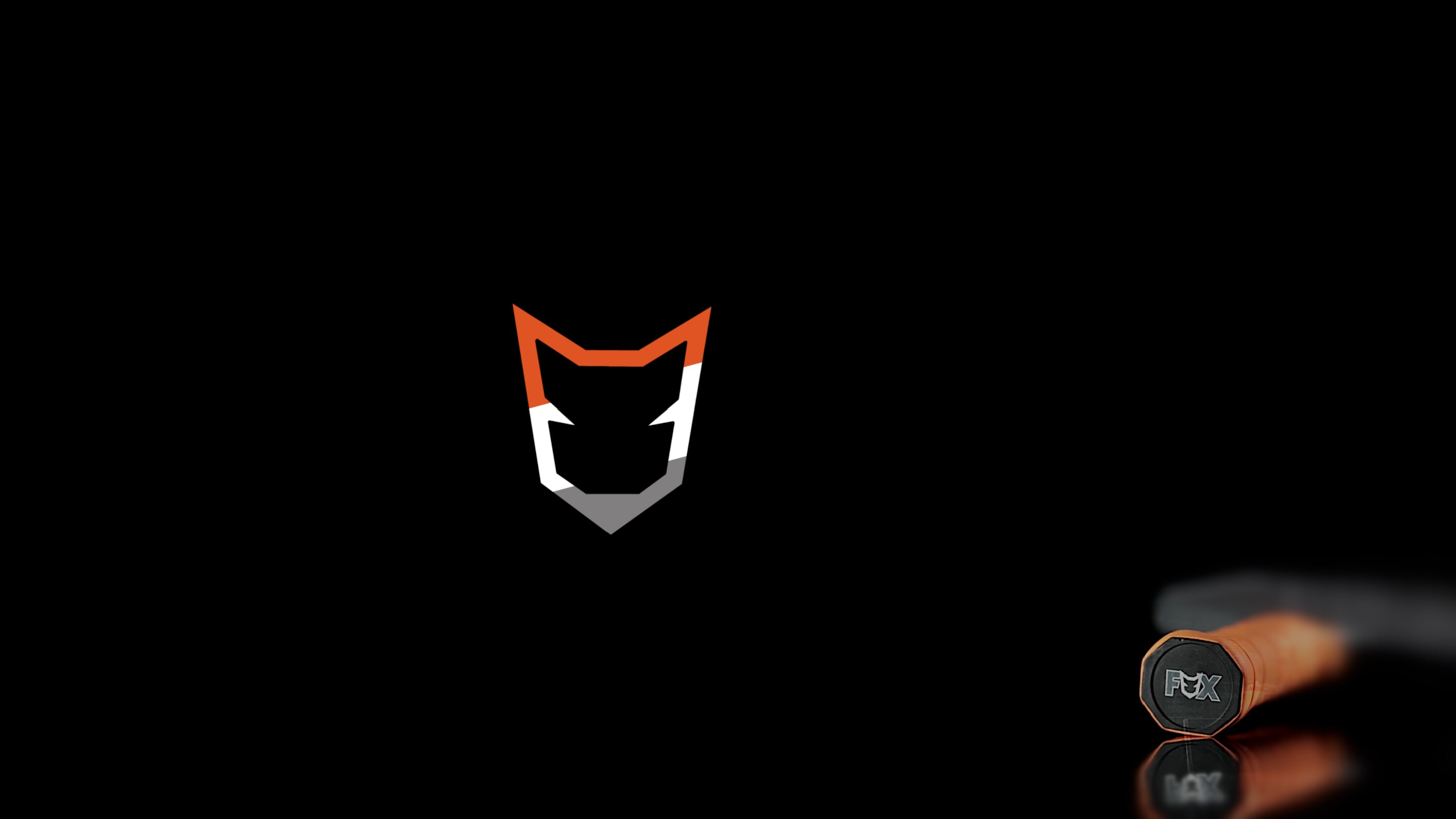 Fox pickelball logo