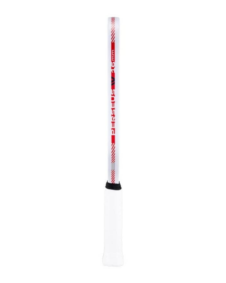 JOOLA Ben Johns Perseus Pro IV